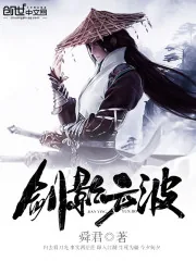 《剑影云波》小说封面