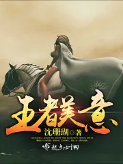 《王者美意》封面