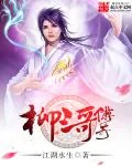 《柳三哥传奇》封面