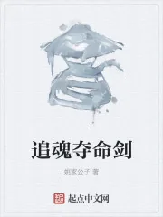 《追魂夺命剑》封面