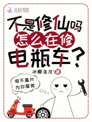 《不是修仙吗？怎么在修电瓶车？》小说封面