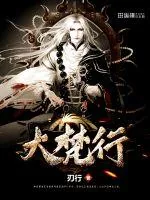 《大梵行》小说封面