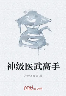 《神级医武高手》小说封面