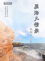 《厓海义情录》小说封面