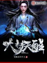 《大梦天醒》封面