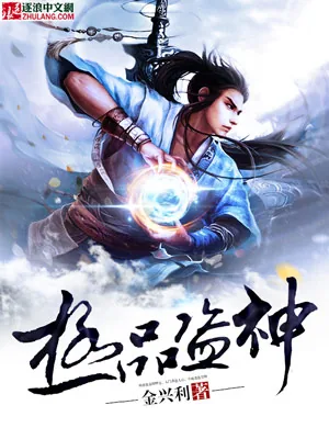 《极品盗神》封面