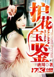 《护花宝鉴》小说封面