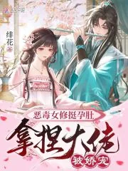 《恶毒女修挺孕肚,拿捏大佬被娇宠》小说封面