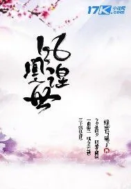 《凤凰涅世》小说封面