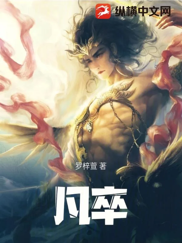 《凡卒》小说封面