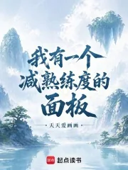 《我有一个减熟练度的面板》小说封面