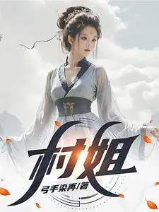 《村姐》小说封面