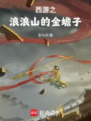 《西游之浪浪山的金蟾子》小说封面