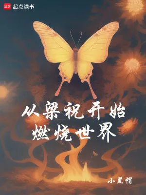 《从梁祝开始燃烧世界》小说封面