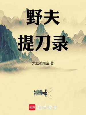 《野夫提刀录》小说封面