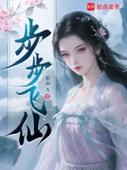 《步步飞仙》小说封面
