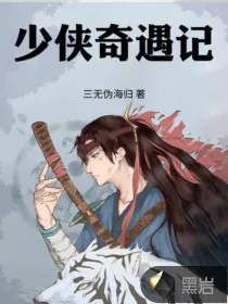 《少侠奇遇记》小说封面