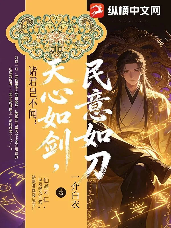 《诸君岂不闻:天心如剑,民意如刀?》小说封面
