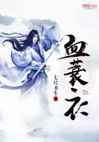《血蓑衣》小说封面