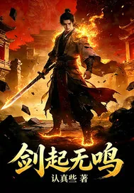 《剑起无鸣》小说封面