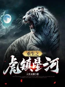《重生之虎镇星河》小说封面