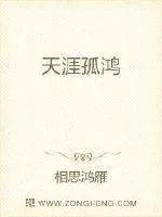 《天涯孤鸿》小说封面