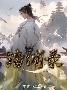 《踏渊录》小说封面