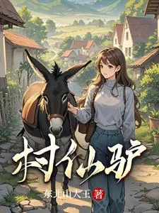 《村仙驴》小说封面