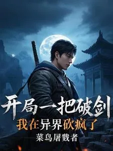 《开局一把破剑，我在异界砍疯了》小说封面