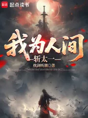 《我为人间斩太一》小说封面