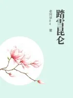 《踏雪昆仑》小说封面