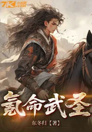 《氪命武圣》小说封面