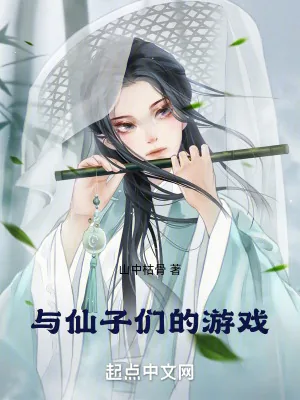 《与仙子们的游戏》小说封面