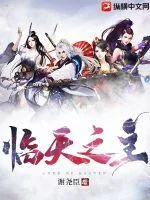 《临天之主》小说封面