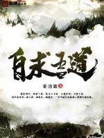 《自求吾道》小说封面