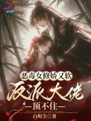 《恶毒女修娇又软,反派大佬顶不住》小说封面