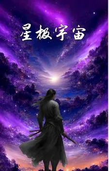 《星极宇宙》小说封面