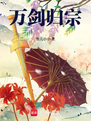 《万剑归宗！》小说封面