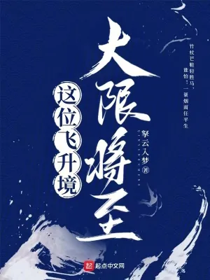 《这位飞升境大限将至》小说封面