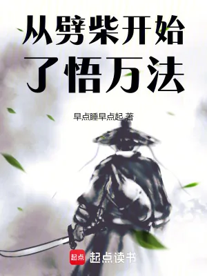 《从劈柴开始了悟万法》小说封面