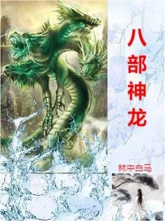 《八部神龙》小说封面