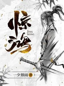 《惊鸿》小说封面
