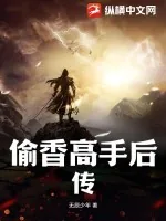 《偷香高手后传》小说封面