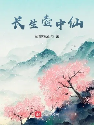 《长生壶中仙》小说封面