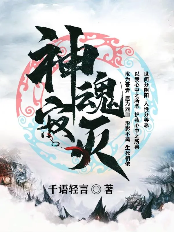 《神魂寂灭》小说封面