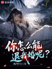 《你怎么能退我婚呢？》小说封面