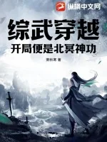 《综武穿越:开局便是北冥神功》小说封面