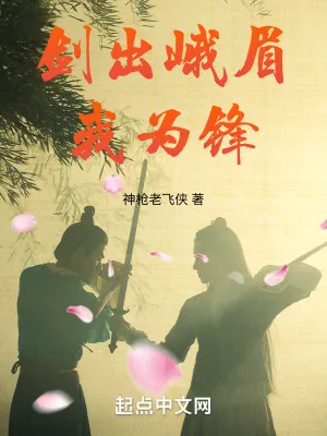 《剑出峨眉我为锋》小说封面
