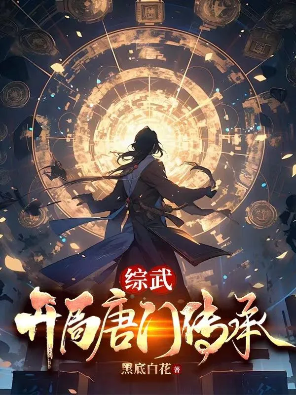 《综武：开局唐门传承》小说封面