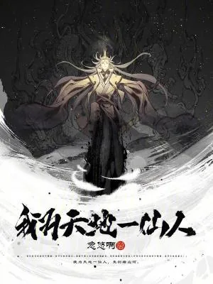 《我为天地一仙人》小说封面